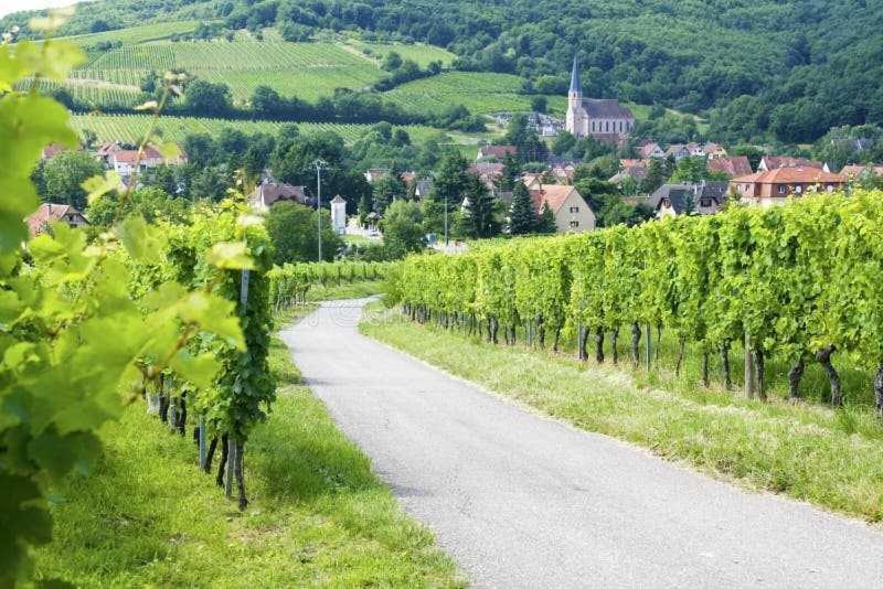 Appartement Avec Terrasse Entre Vignes, Balades, Alsace Гебвилер Екстериор снимка