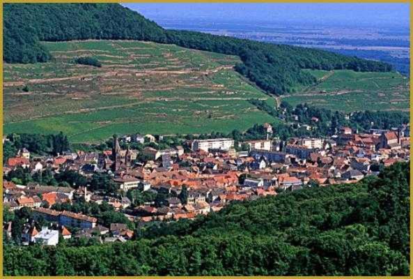 Appartement Avec Terrasse Entre Vignes, Balades, Alsace Гебвилер Екстериор снимка